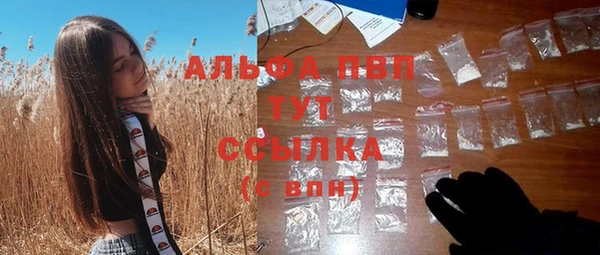 стафф Белокуриха