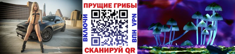 хочу   Кузнецк  Галлюциногенные грибы прущие грибы 